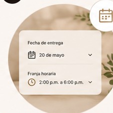 Programa la entrega